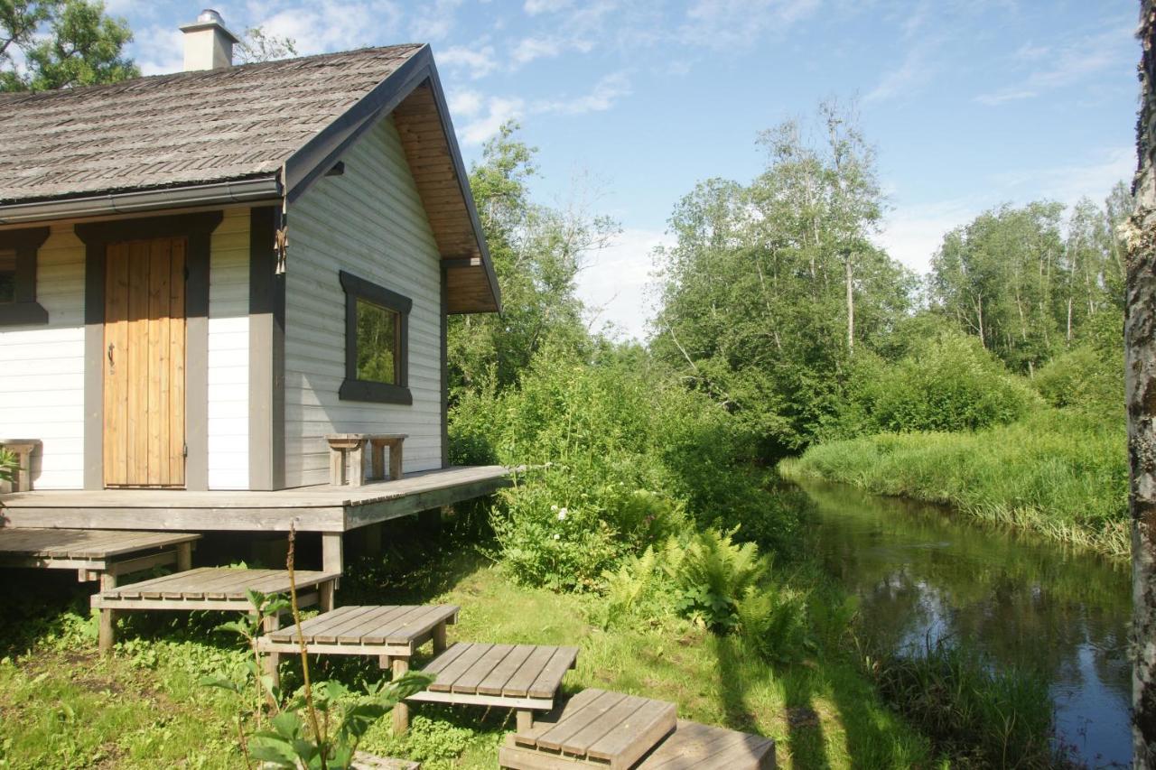 Апартаменты Bear Manor Lacu Muizina Pale Экстерьер фото