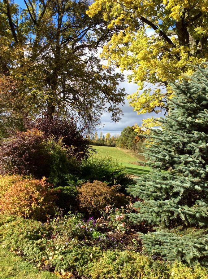 Апартаменты Bear Manor Lacu Muizina Pale Экстерьер фото